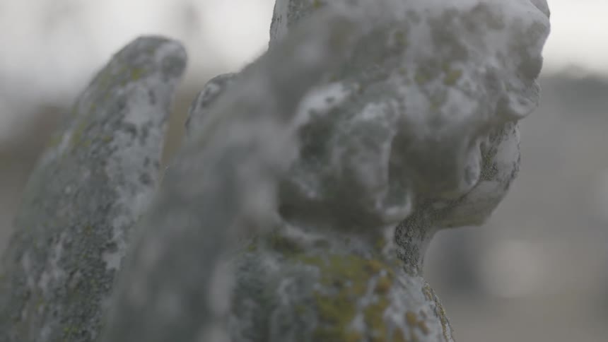 A moss covered angel headstone