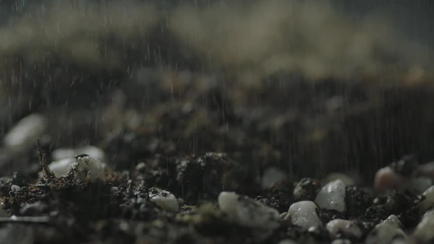 Water rains down onto dirt and pebbles