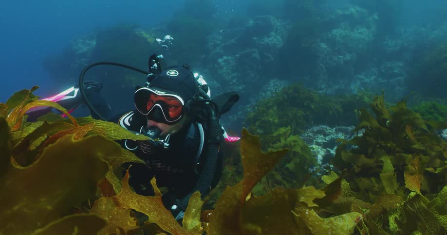 A scuba diver is swimming in the ocean in the day time