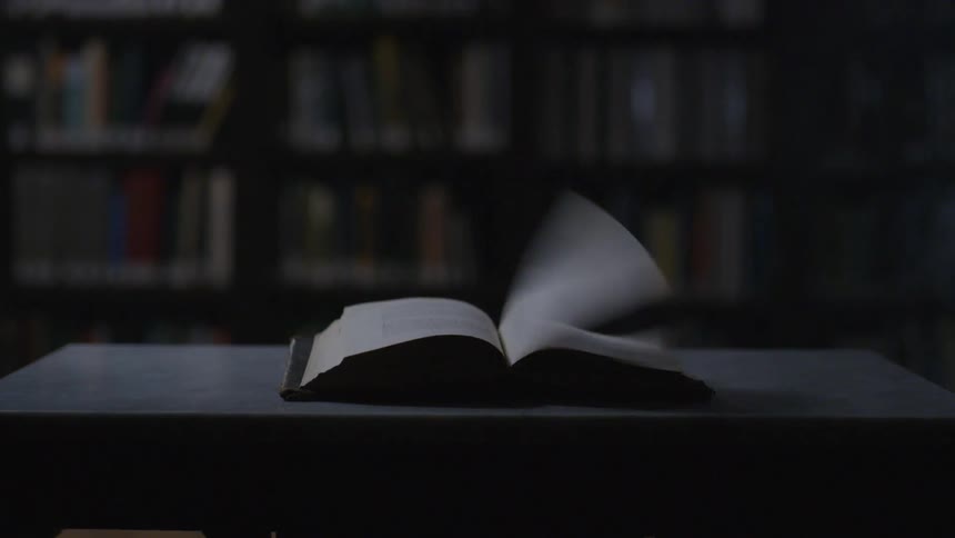 A book sits open on a table and the pages begin to flip