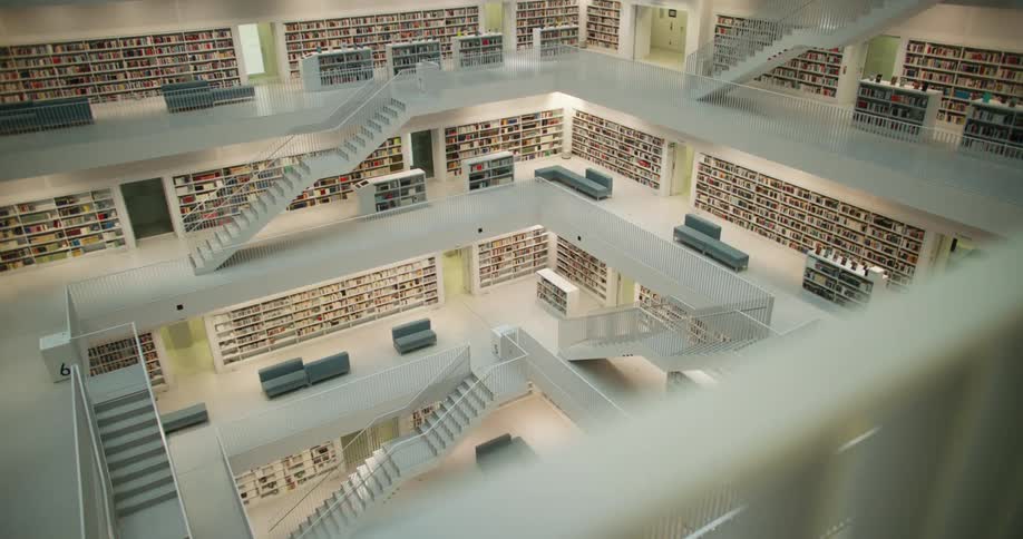 The view is of the library and it has lots of books