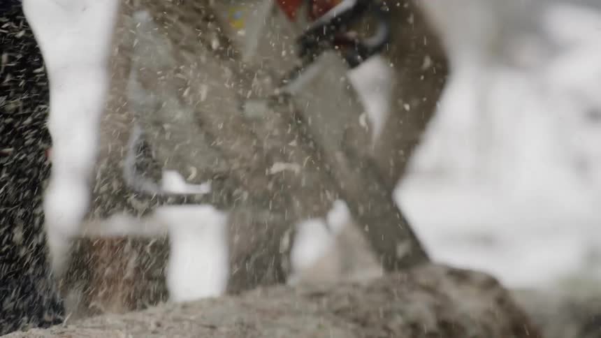 Winter Woodcutting: Chainsaw in Action