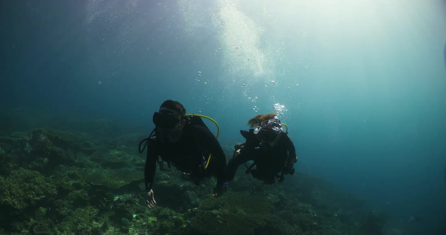 Male and female scuba divers swim through murky water near reef