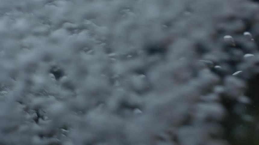 Streaming Serenity: Captivating Footage of Flowing Water in a Stream