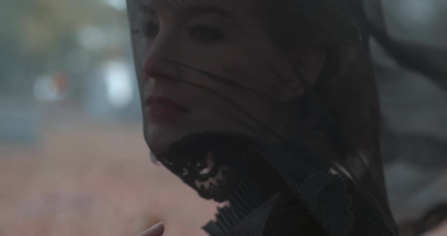 Autumn leaves blow around a veiled woman with a red rose