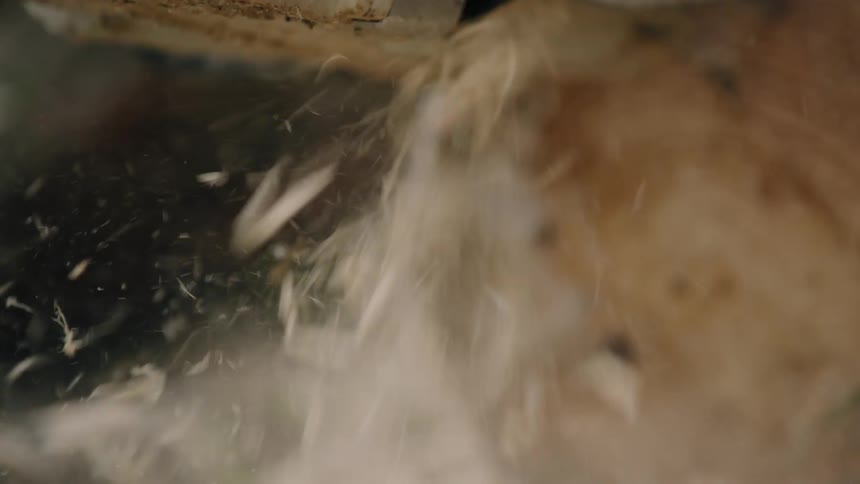 Efficient Wood Cutting: Precision with a Saw