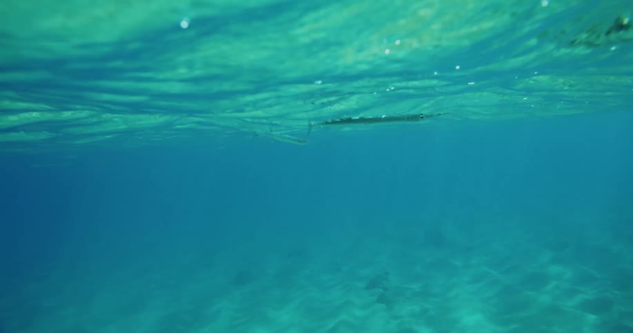 Under water footage of ripples in the ocean