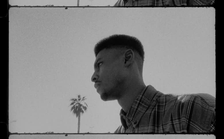 Man wearing plaid shirt stands outdoors on sunny day with palm tree in the background