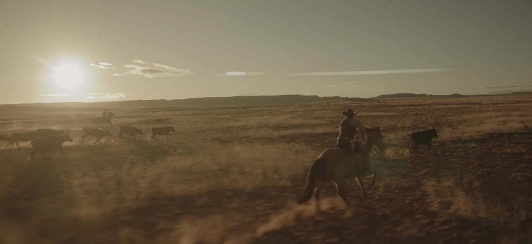 Two cowboys lead the cows down the landscape