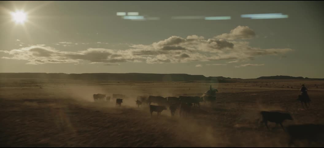An aerial of a a herd of cows being corralled by men on horses in the desert