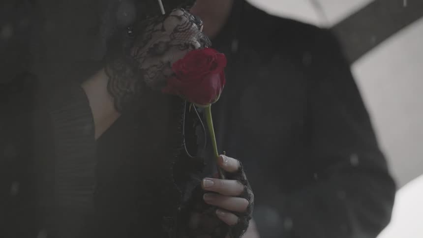 Rain falls on a woman holding a rose