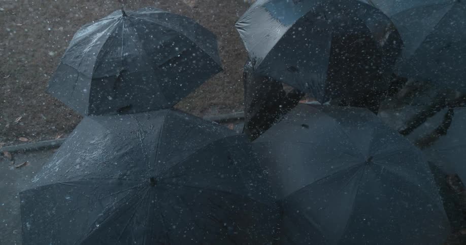 Rain falls on a group of people with umbrellas