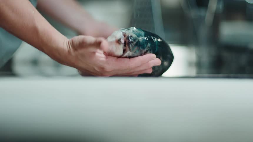 A restaurant chef picks up a whole fish in the kitchen