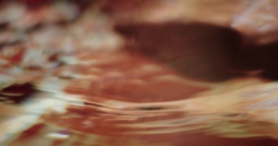 Person moves their hand through water as gaseous image is projected across the area