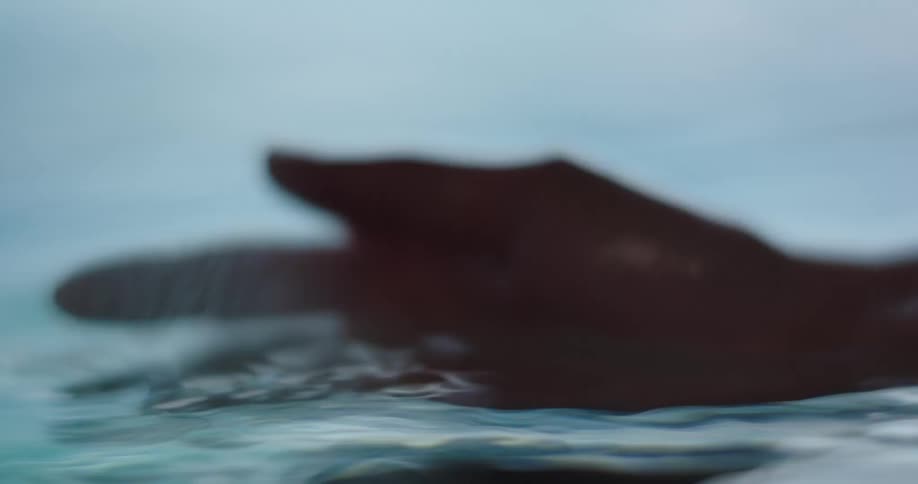 A person dips his hand in the water
