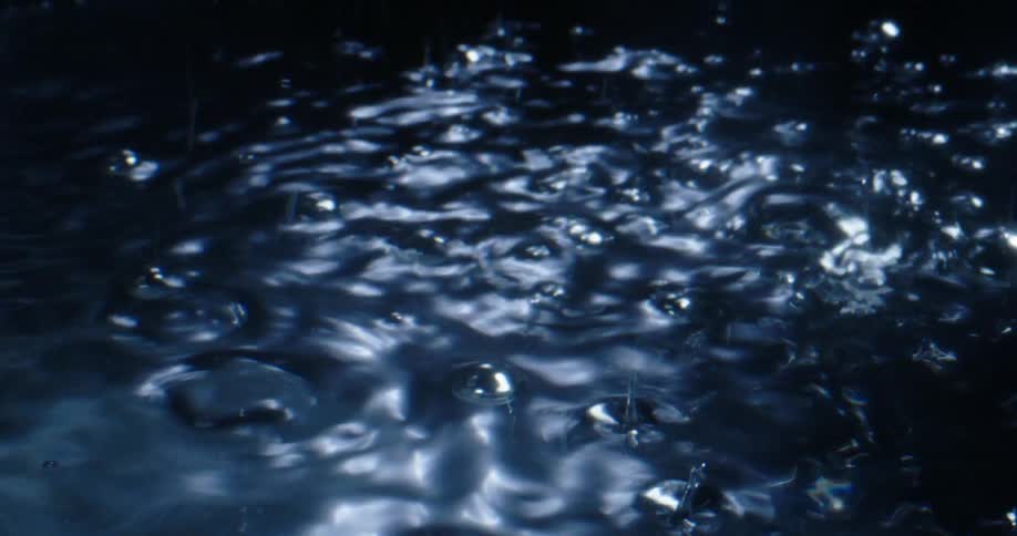 Air bubbles breaking the calm still surface of a small body of water