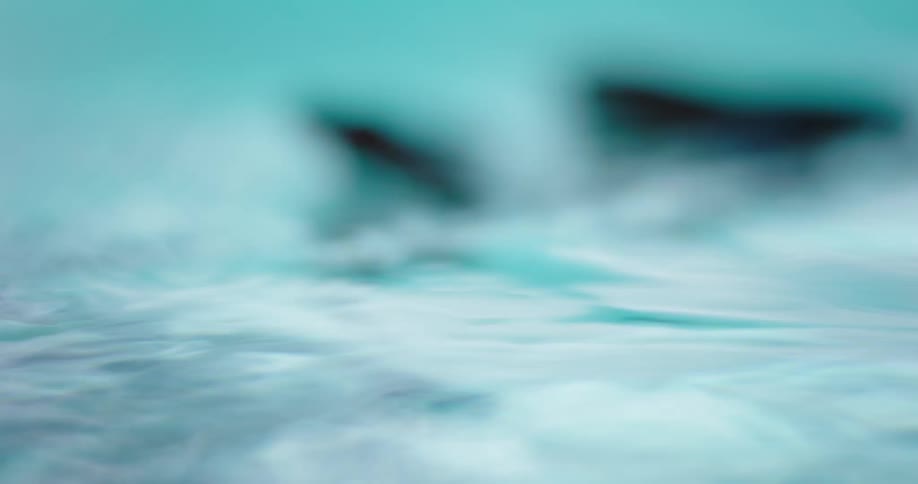 A hand is floating in the water