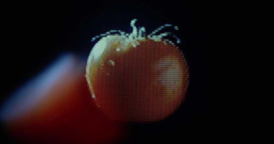 Digitalized red tomato floating and rotating in darkness on flickering retro computer screen with distortion