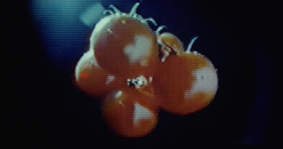 Macro shot of pixelated red organic tomatoes rotating with transformation on glitching vintage tube television