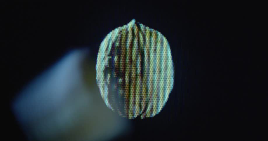 Pixelated digitized super food walnut with uneven surface structure and black background spinning on glitching vintage tube TV