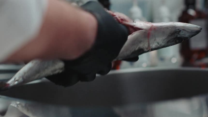 Cook with black gloves and white shirt cleans fish in the kitchen