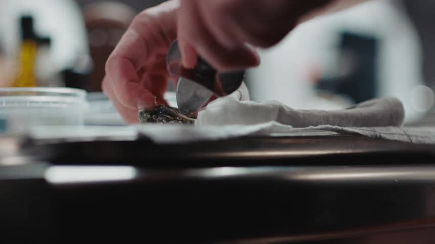 A man shucks oysters in a restaurant kitchen