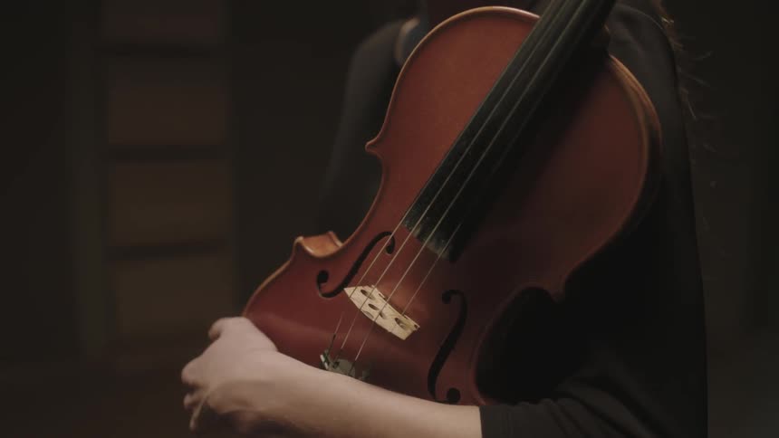A woman holds a violin