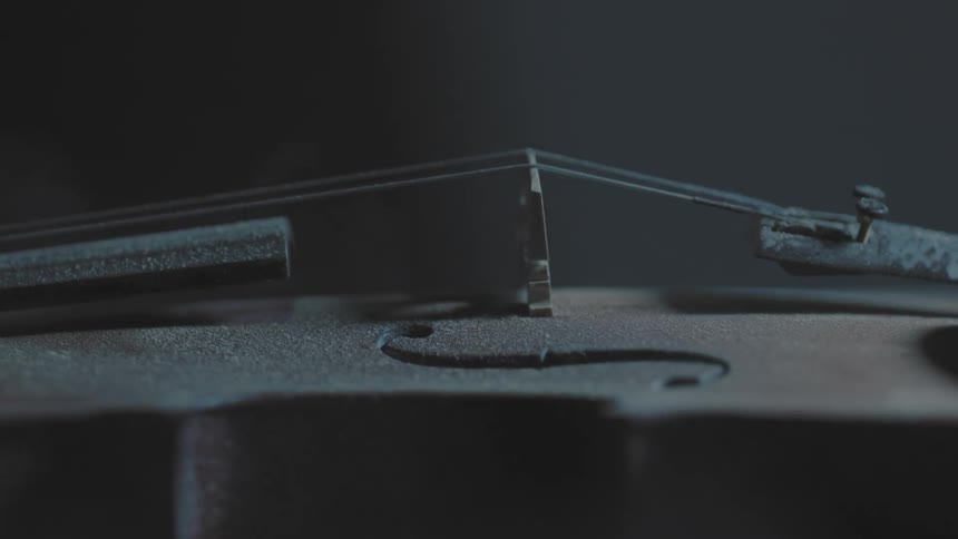 Close up of a violin and strings