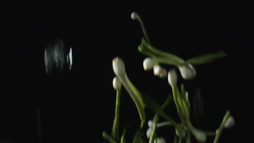 A bunch of green vegetables tossed up against a black background