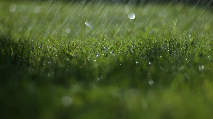 It rains on green lawn
