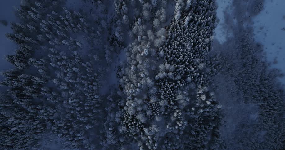 Aerial view of snowy field and forest