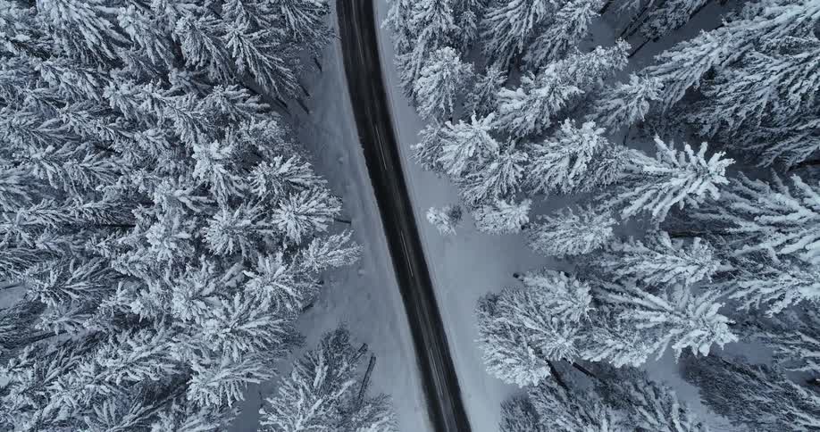 Aerial of a road going through snow covered trees