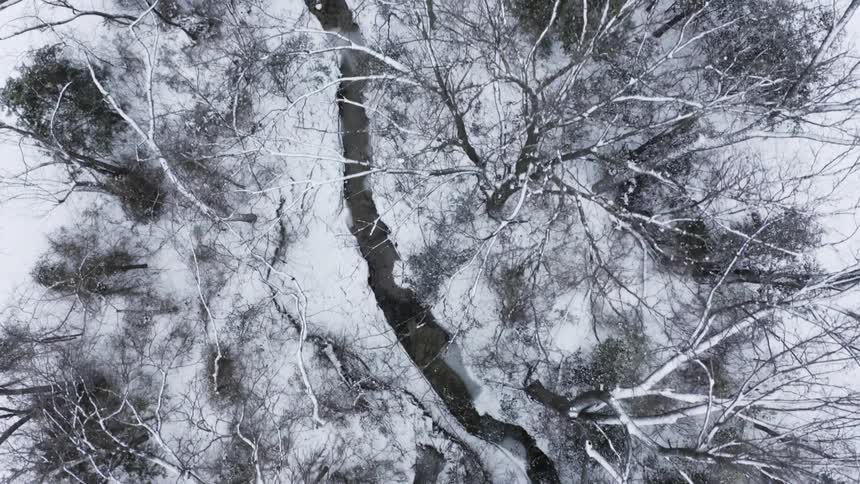 River winds through snow covered ground between leafless trees