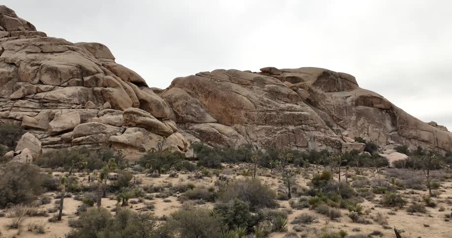 Rocky mountains tower over the shrubs and trees on the desert plains