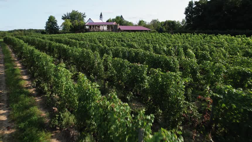Rows of crops lead to open air buildings