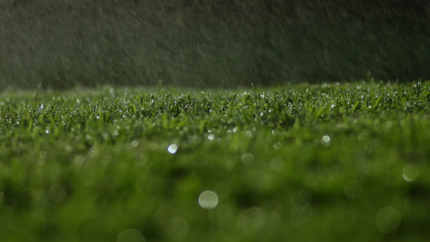Droplets sparkle on the grass lawn as rain falls