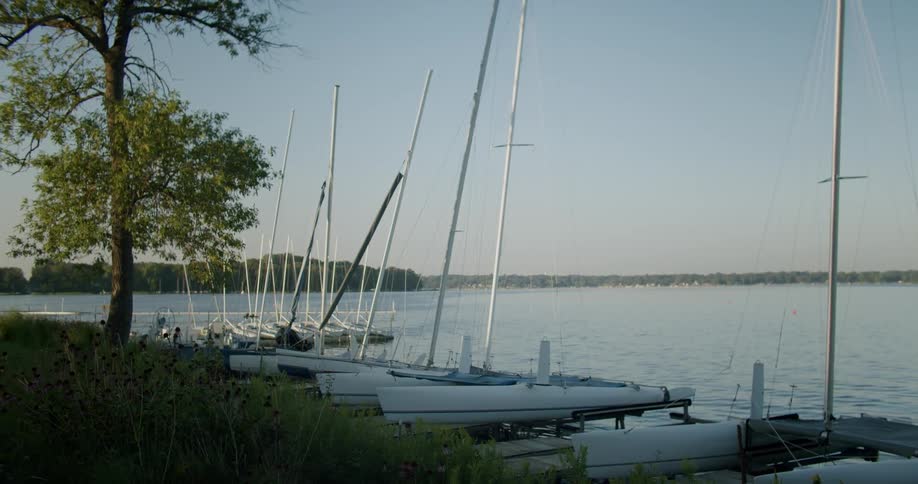 A group of catamarans are docked near a shady shore on a large lake
