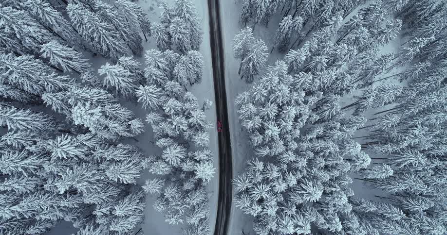 A red automobile travels on a road through a snow covered forest on a winter day