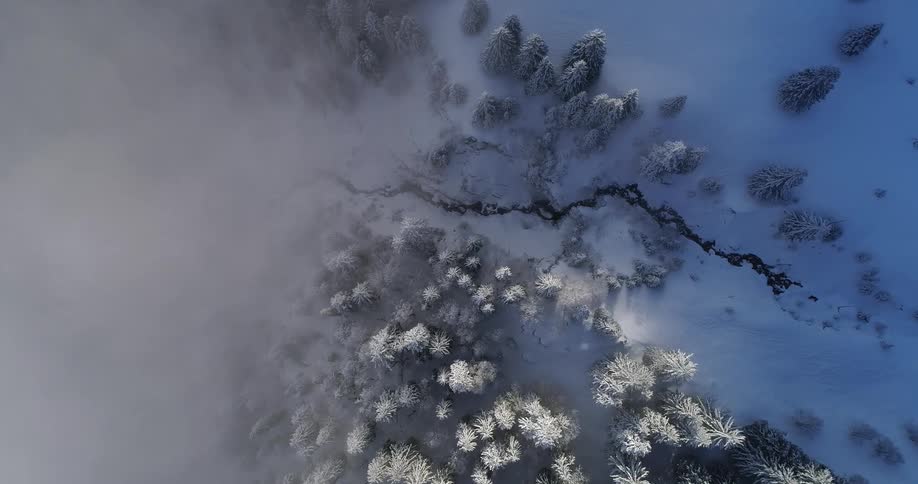 A thick blanket of snow covers the ground and trees in the woods