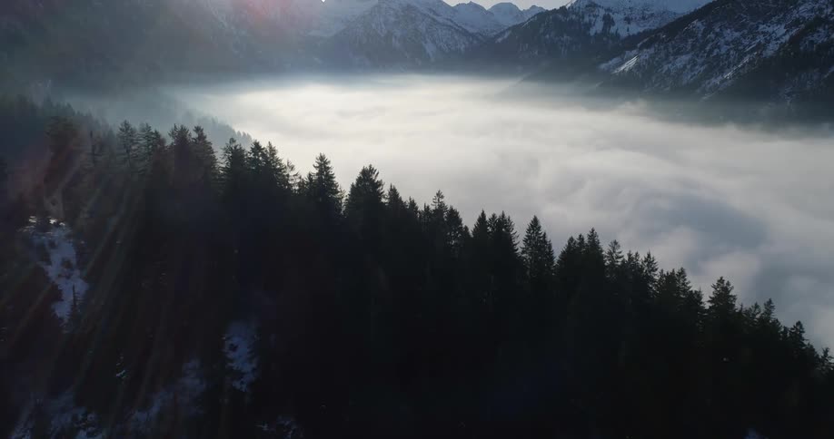 An aerial view of forest tree lines giving way to cloudy valleys with mountains in the distance