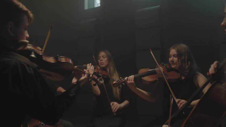A chamber ensemble vigorously plays music