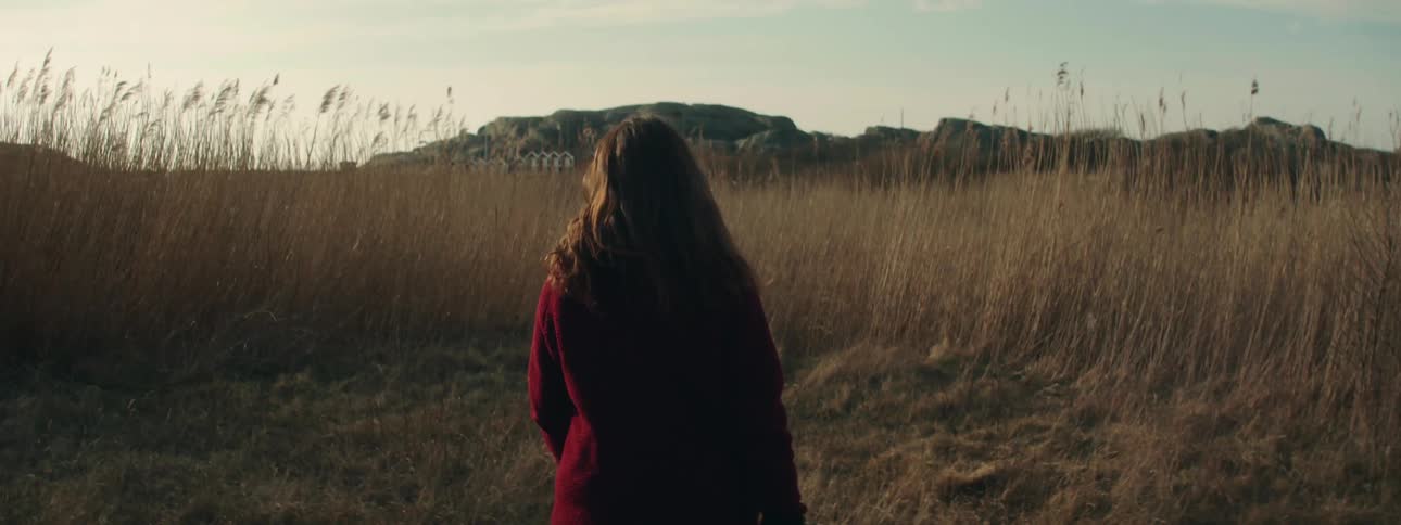 Young woman wearing a red sweater walks on a field of tall yellow reeds at evening