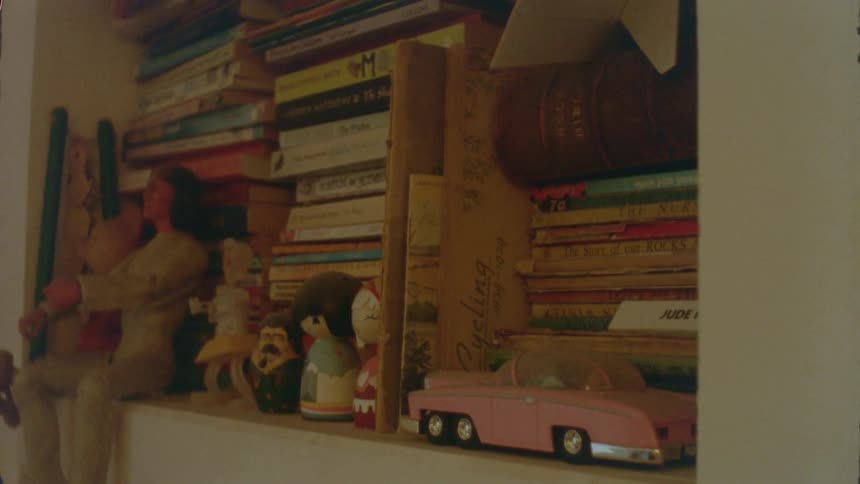Books on a shelf with a toy car and dolls in front of the books