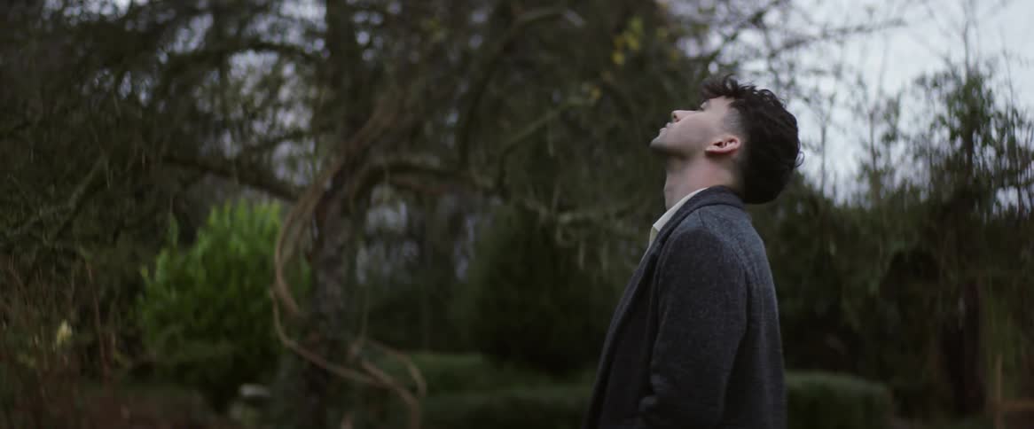 A man standing outside looking up at the trees and the sky as he slowly turns