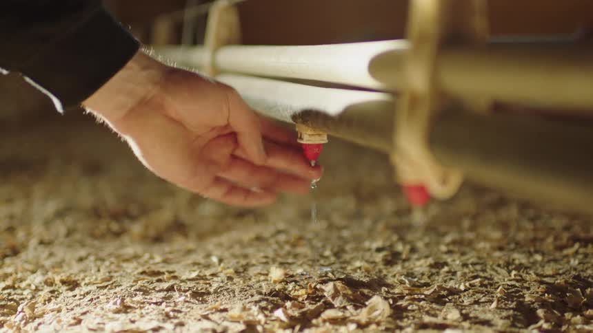 Man checks drip from sprinklers attached to pipe hanging over surface