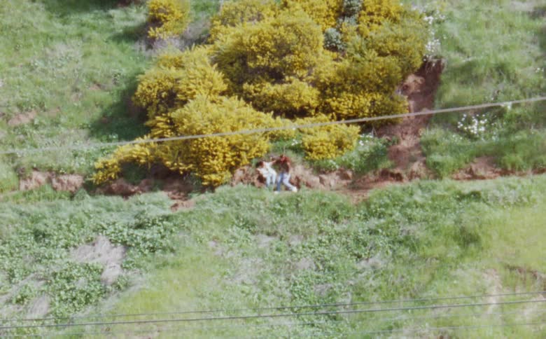 Two women dance at base of brush near power lines