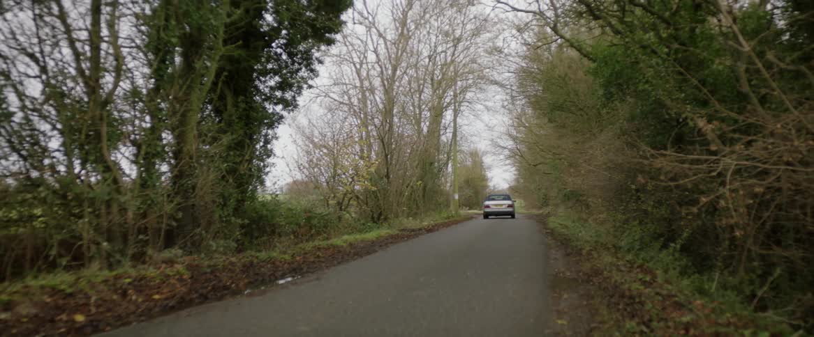 A white automobile travels on a country road surrounded by trees on a fall day