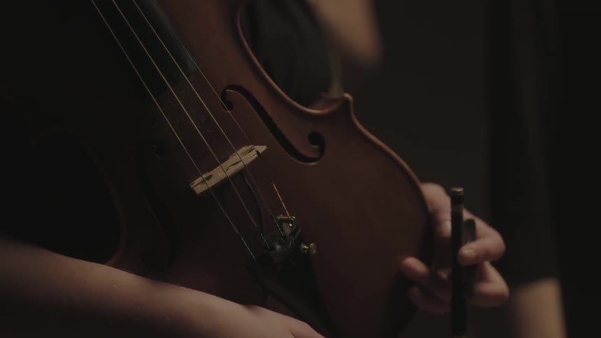 A person is holding a violin