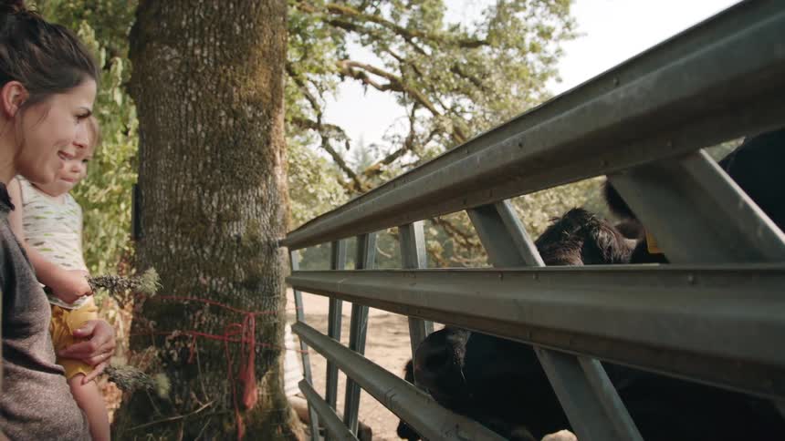 A mother is holding her baby while petting cattle through a metal fence