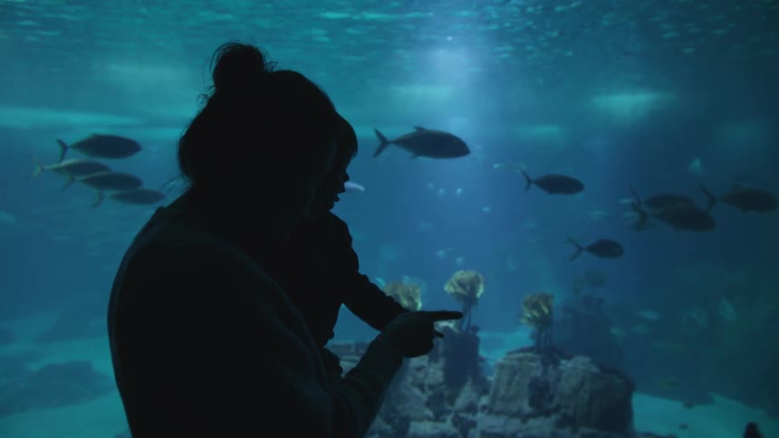 A mother is showing her baby the aquarium